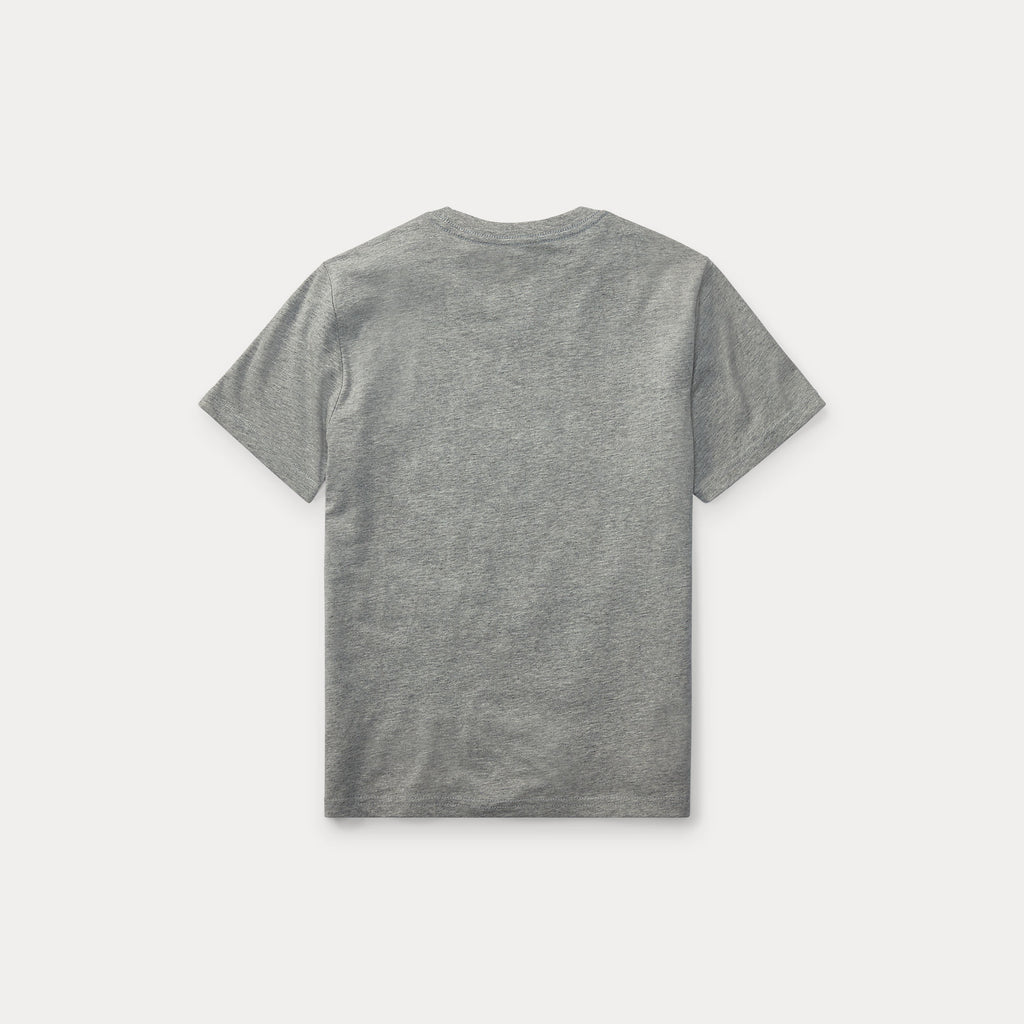 Ralph Lauren Shirt Grijs