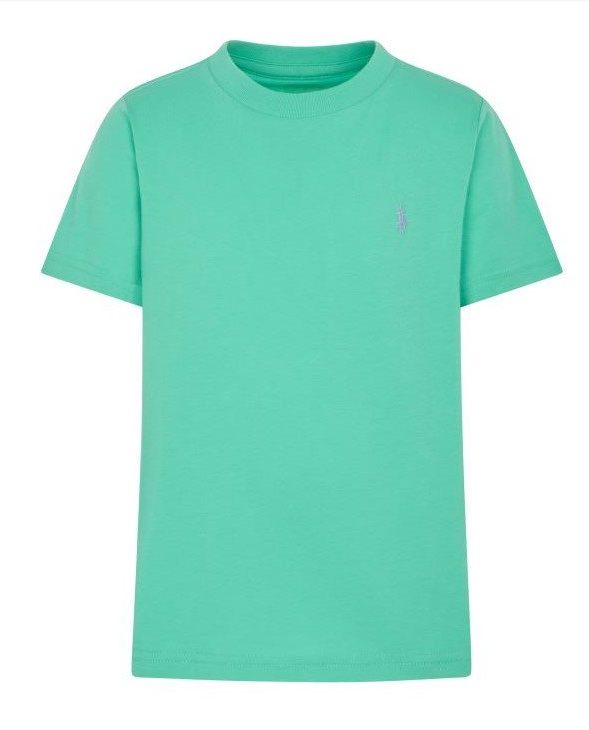 Ralph Lauren T-Shirt Groen