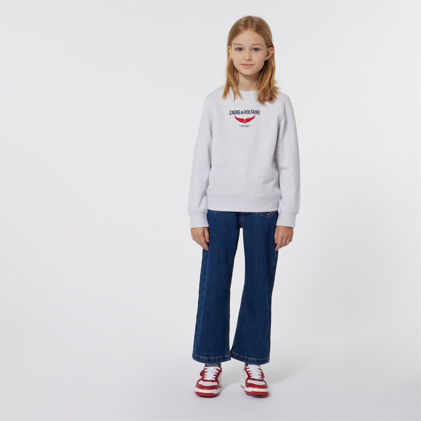 Zadig en Voltaire Sweater Logo Grijs