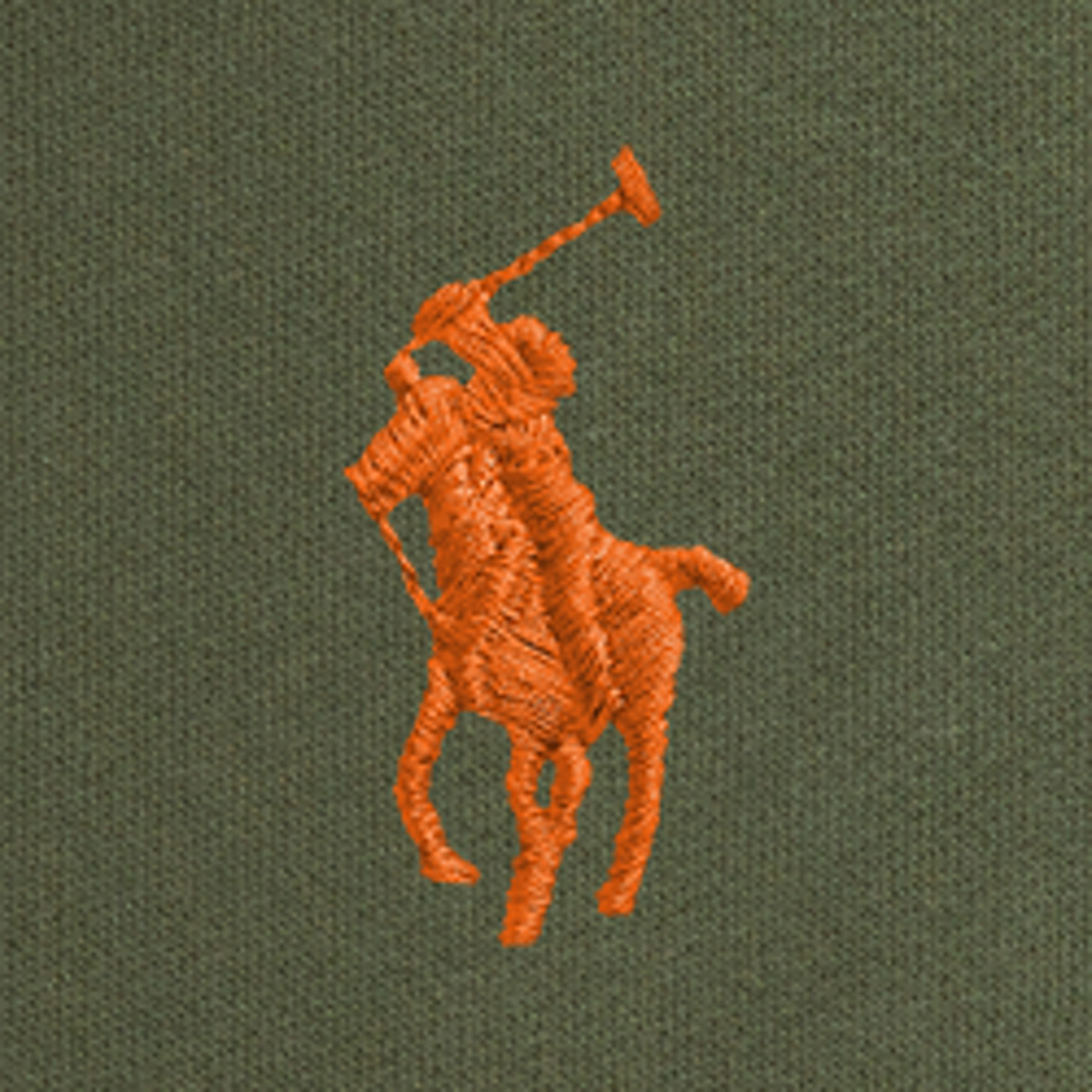 Ralph Lauren Hoodie Groen
