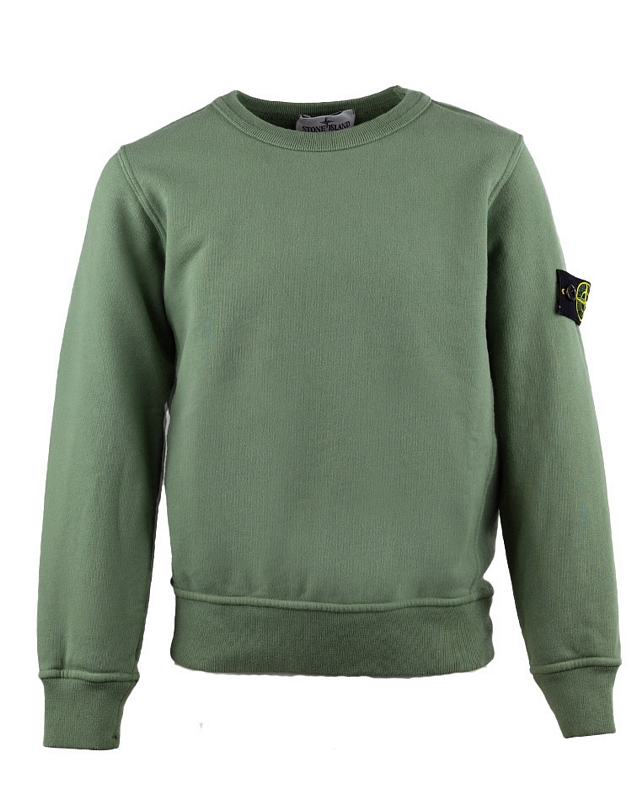 Stone Island Sweater Groen V0055